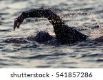 A swimmer is doing the crawl in the sea