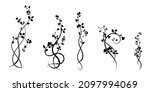 a selection of ornament elements of patterns rose vine and flowers. vector stock image