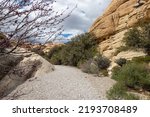 Hiking Trail At Red Rock Canyon ...