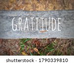 Blurry wood background with word - GRATITUDE