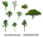 Group Set Of Green Big Tree In...