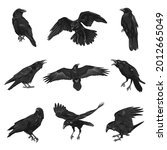 Big Set Of Crows.raven Drawing...