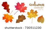 autumn leaves set  isolated on... | Shutterstock .eps vector #730511230