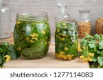 Small photo of Greater celandine leaves and flowers macerating in vegetable oil