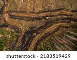 Small photo of An aerial of a red tractor preparing forest land with disc trenchers for planting saplings.