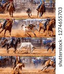 Small photo of Collage of calves being lassoed in team calf roping events by cowboys at a country rodeo