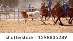 Small photo of A brown and white calf being lassoed in a team roping event at an Australian country rodeo