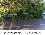 Small photo of BOURNEMOUTH, ENGLAND UK – FEBRUARY 19: Storm Eunice large tree fallen crushing two cars, registration plates showing, wide angle, front on, landscape, on February 19 2022 in Bournemouth, Dorset