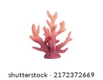 Pink decorative coral isolated...