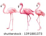 Set Of  Pink Flamingo On An...