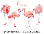 Set Of Pink Flamingo On An...