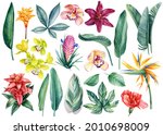 Set Of Tropical Flowers And...