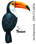 Tropical Bird  Toucan...