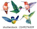 Collection Birds Hummingbird....