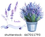 Lavender In A Pot  Flowers And...