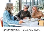 Small photo of Group of elderly women have breakfast in a cafeteria, three retired female friends are celebrating an anniversary drinking tea and coffee and eating chocolate cakes