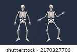 human skeleton vintage icons.... | Shutterstock .eps vector #2170327703