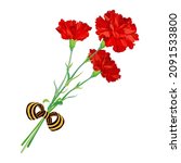 Red Carnations Isolated On A...