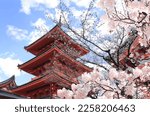 Small photo of Ancient pavilion and blooming sakura branches in Fushimi Inari shrine. Spring time in Kyoto, Japan. Sakura blossom season. Cherry blossoming season in Asia. Japanese hanami festival