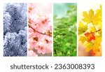 Small photo of Four seasons of year. Set of vertical nature banners with winter, spring, summer and autumn scenes. Nature collage with seasonal scenics. Copy space for text