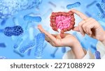 Small photo of Intestine in hands. Microbiome of digestive system. Probiotic treatment. Probiotic cells for immunity. Digestive health. Studying action of probiotics. Microflora of intestinal tract