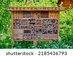 View to an insect hotel made of ...