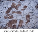 Boot imprints on brown soil...