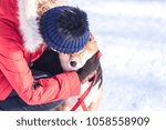 Small photo of Girl embosom dog in her arms. The concept of friendship between a dog and a man. Shiba inu and the girl