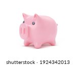 Realistic Pink Piggy Bank Pig...