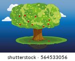 apple tree. | Shutterstock .eps vector #564533056