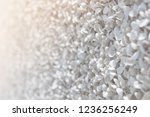 closeup beautiful small white... | Shutterstock . vector #1236256249