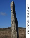 Small photo of A single stone of the Stipple Stones stone circle Bodmin Moor Cornwall