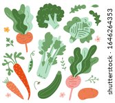 illustrations of vegetables ... | Shutterstock .eps vector #1646264353