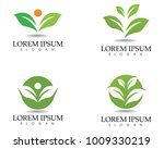 tree leaf vector logo design ... | Shutterstock .eps vector #1009330219