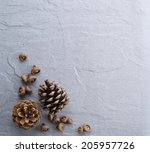 Pine Cone On Rock Table As...