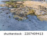A View Of A  Rock Pool On The...