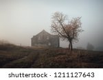 Tree And House In Fog