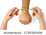 Close up top view of female  hands tying colorful rakhi on  her brother’s hand isolated on white background on Raksha Bandhan Festival 