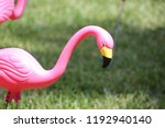 Flock Of Pink Plastic Flamingos ...