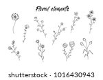 set of vector flowers and... | Shutterstock .eps vector #1016430943