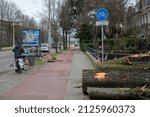 Small photo of Tree Cut Down At The Eunice Storm At Amsterdam The Netherlands 19-2-2022
