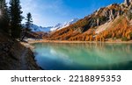 Orceyrette Lake in Autumn with golden larch trees in the French Alps. Briancon Region. Hautes-Alpes. France