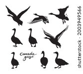 Canadian geese silhouettes. Black and white big set of birds. Vintage collection. Vector illustration