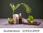 Cosmetic skin care products (face serum, bar of soap) and green leaves, wood decor. Natural eco friendly beauty and organic green skin care concept. Vegan cosmetology products, biophilia