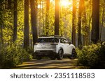 Small photo of Novosibirsk, Russia - August 23 , 2023: white Nissan Pathfinder Rock Creek , back view. Photography of a modern car on a parking in the fabulous autumn coniferous forest