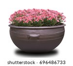 Isolated Large Flower Pot