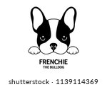 Adorable French Bulldog Waiting ...