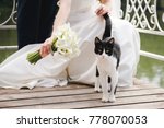 The Bride Plays With The Cat....