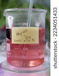 Small photo of Weakly concentrated aqueous solution of strong organic formic acid, colored with the indicator dye methyl orange.
