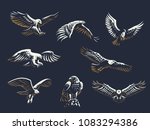 Set Of Vector Birds. Eagles And ...